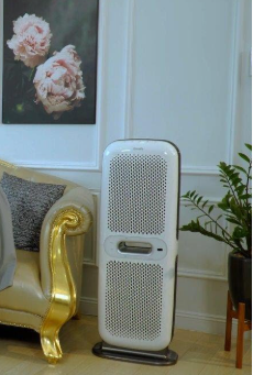 Image #1 from Duy Phúc