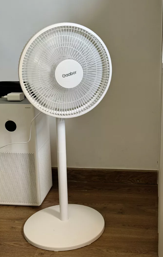 Image #1 from Tien Tien